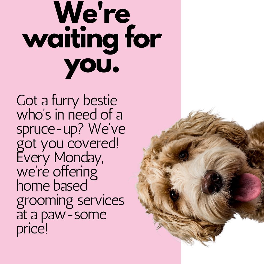 My pet best sale love mobile grooming